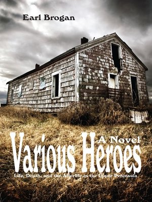 cover image of Various Heroes